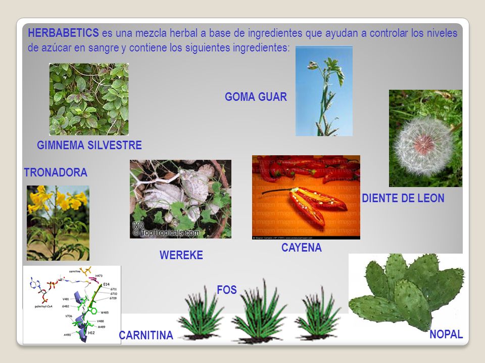 HERBABETICS es una mezcla herbal a base de ingredientes que ayudan a controlar los niveles de azúcar en sangre y contiene los siguientes ingredientes:
