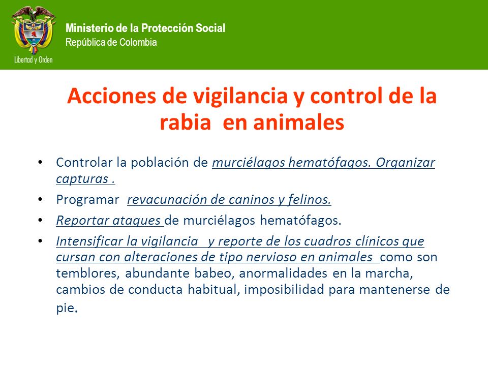 Acciones de vigilancia y control de la rabia en animales
