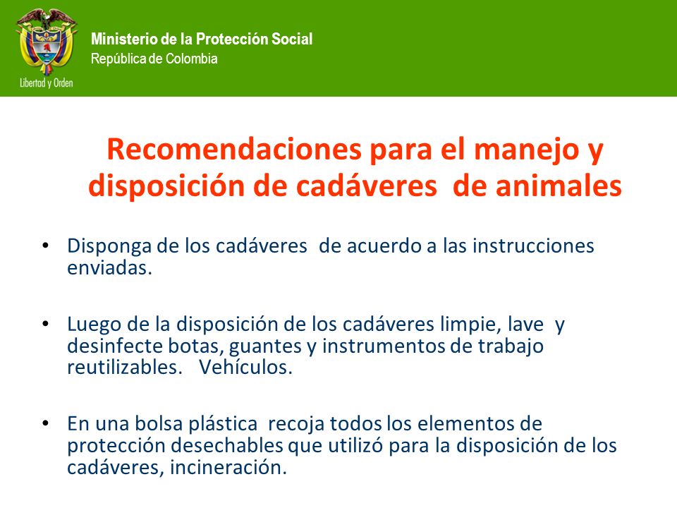 Recomendaciones para el manejo y disposición de cadáveres de animales