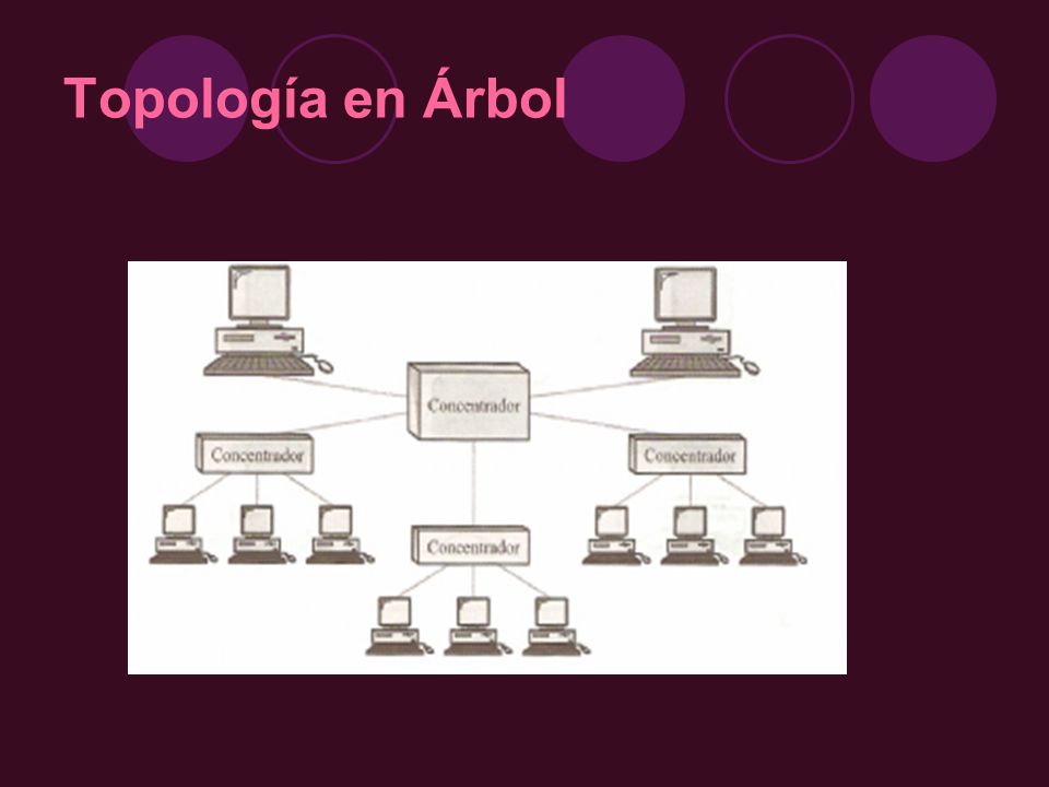 Topología en Árbol