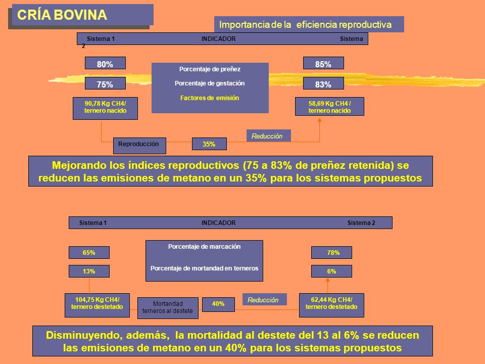 CRÍA BOVINA Importancia de la eficiencia reproductiva.