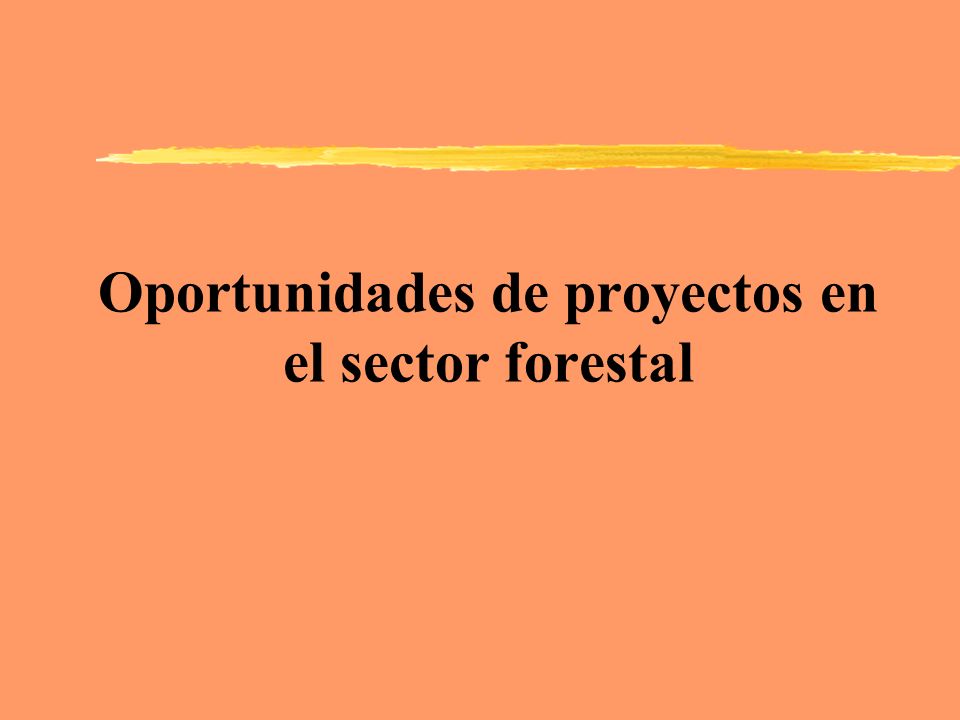 Oportunidades de proyectos en el sector forestal