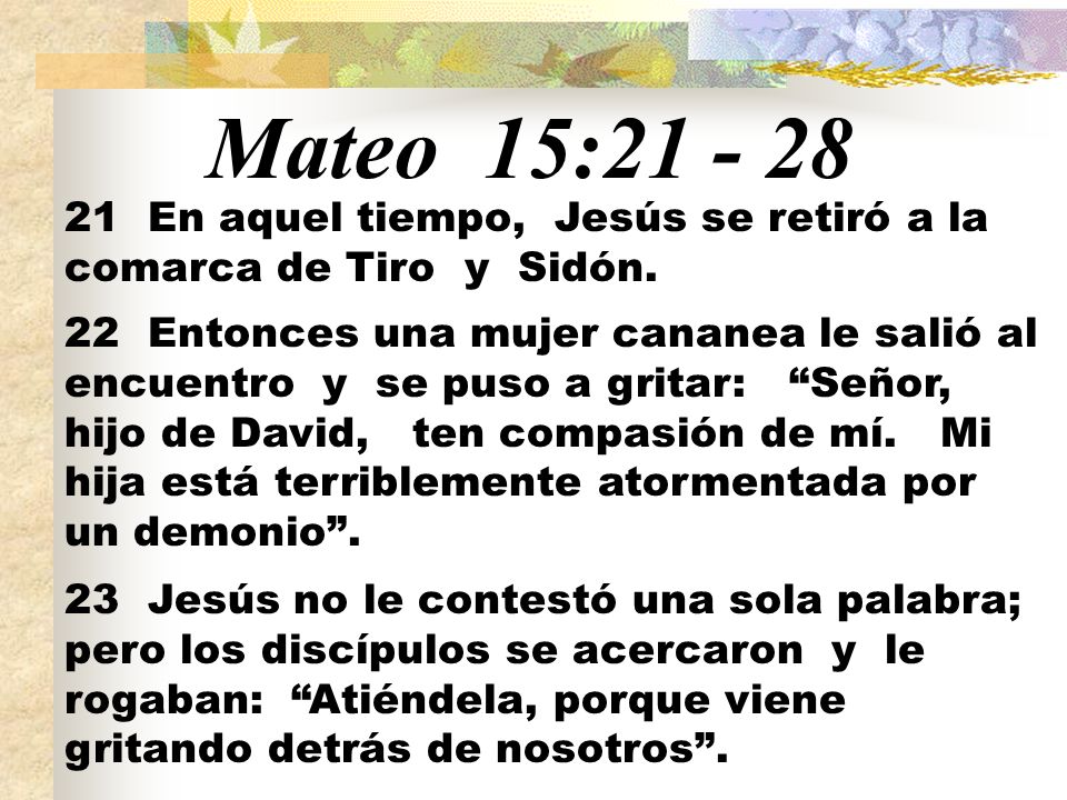 Mateo 15: En aquel tiempo, Jesús se retiró a la comarca de Tiro y Sidón.