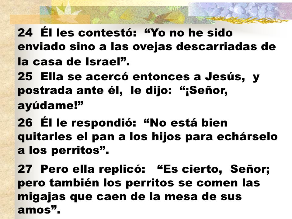 24 Él les contestó: Yo no he sido enviado sino a las ovejas descarriadas de la casa de Israel .
