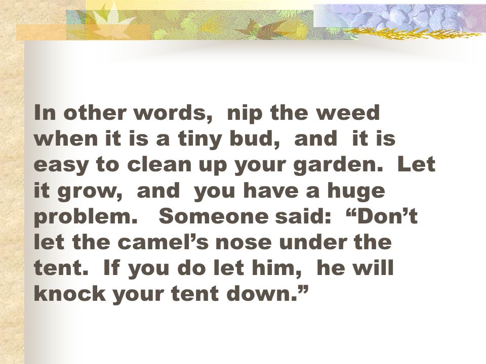 In other words, nip the weed when it is a tiny bud, and it is easy to clean up your garden.