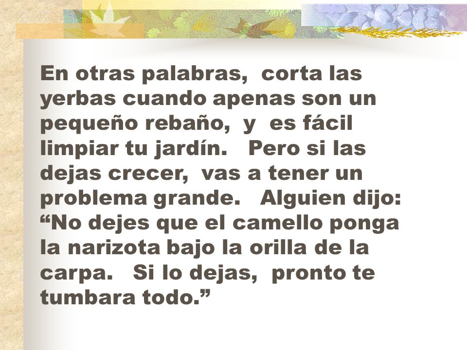 En otras palabras, corta las yerbas cuando apenas son un pequeño rebaño, y es fácil limpiar tu jardín.