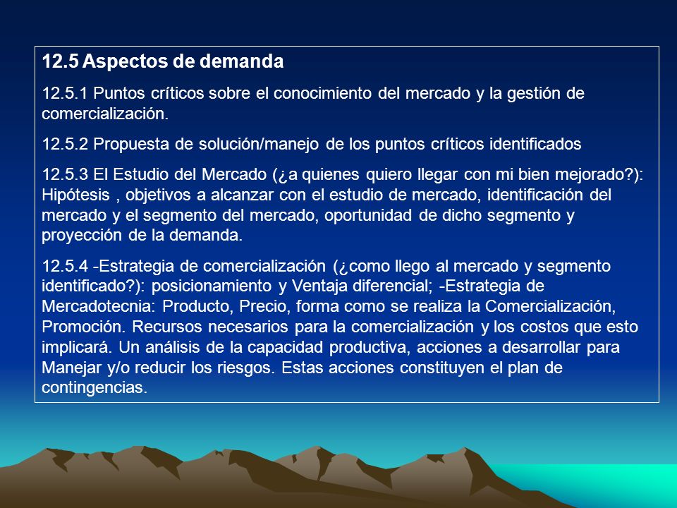 12.5 Aspectos de demanda Puntos críticos sobre el conocimiento del mercado y la gestión de comercialización.