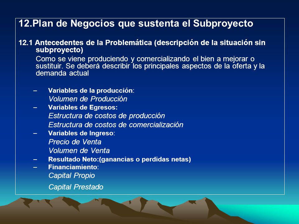 12.Plan de Negocios que sustenta el Subproyecto