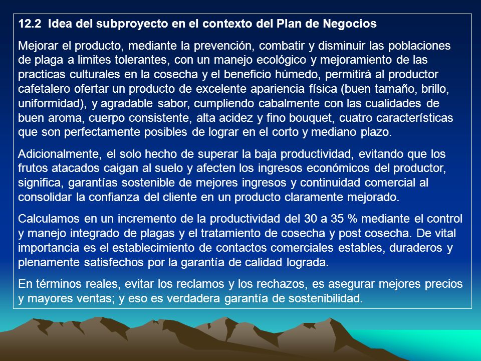 12.2 Idea del subproyecto en el contexto del Plan de Negocios
