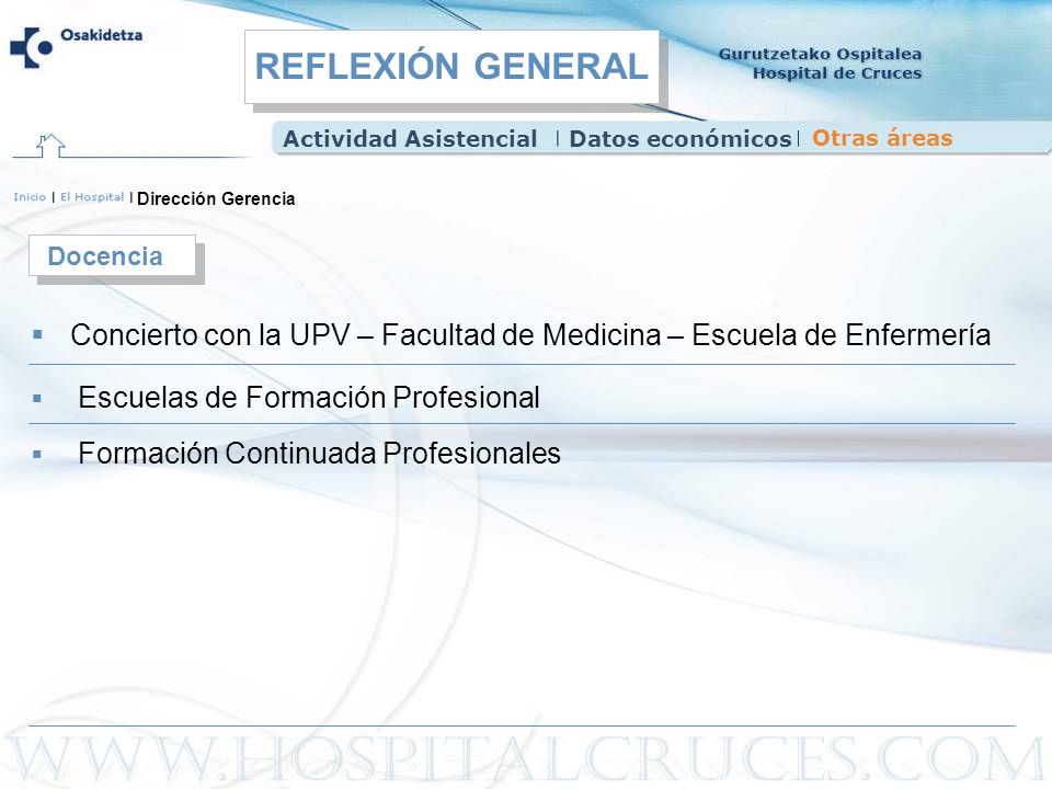 REFLEXIÓN GENERAL Actividad Asistencial. Datos económicos. Otras áreas. Dirección Gerencia. Docencia.