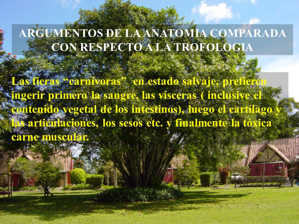 ARGUMENTOS DE LA ANATOMIA COMPARADA CON RESPECTO A LA TROFOLOGIA