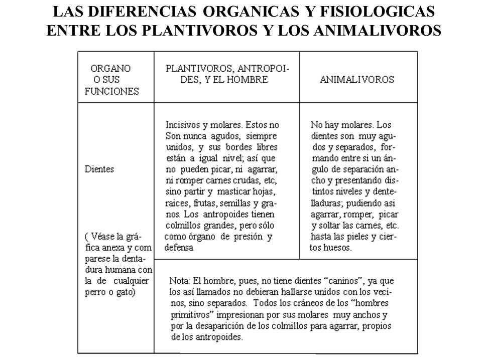 LAS DIFERENCIAS ORGANICAS Y FISIOLOGICAS ENTRE LOS PLANTIVOROS Y LOS ANIMALIVOROS