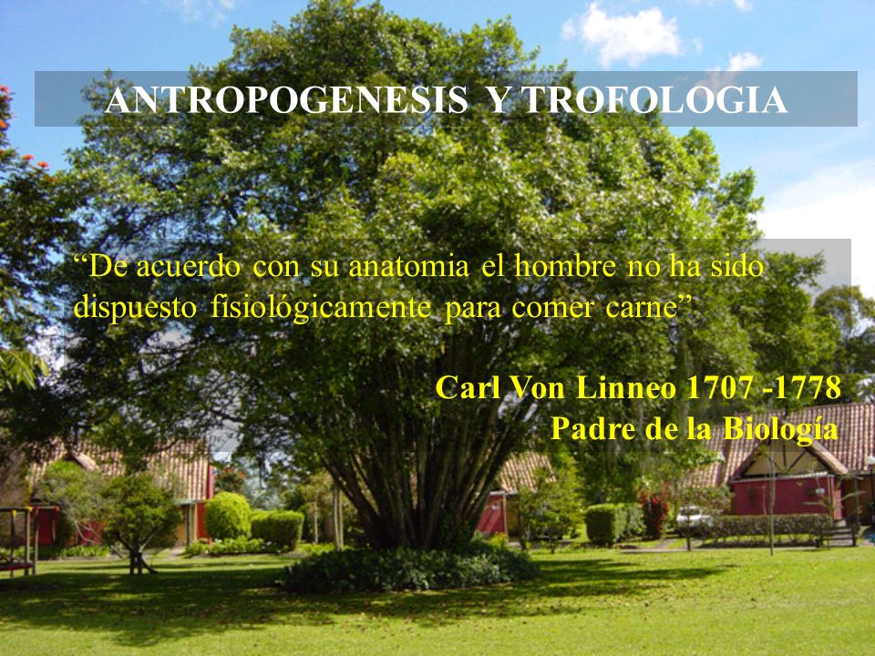 ANTROPOGENESIS Y TROFOLOGIA