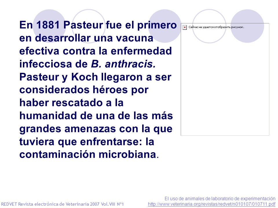 En 1881 Pasteur fue el primero en desarrollar una vacuna efectiva contra la enfermedad infecciosa de B. anthracis.