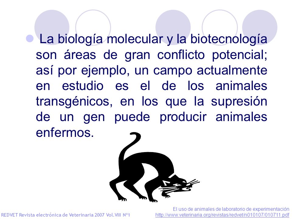 La biología molecular y la biotecnología son áreas de gran conflicto potencial; así por ejemplo, un campo actualmente en estudio es el de los animales transgénicos, en los que la supresión de un gen puede producir animales enfermos.