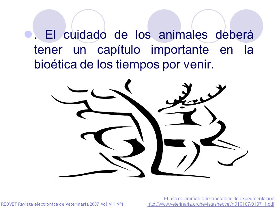 . El cuidado de los animales deberá tener un capítulo importante en la bioética de los tiempos por venir.