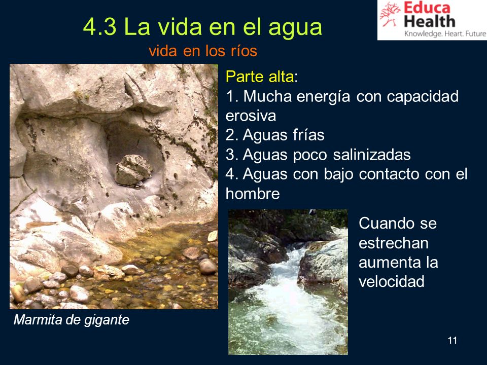 4.3 La vida en el agua vida en los ríos