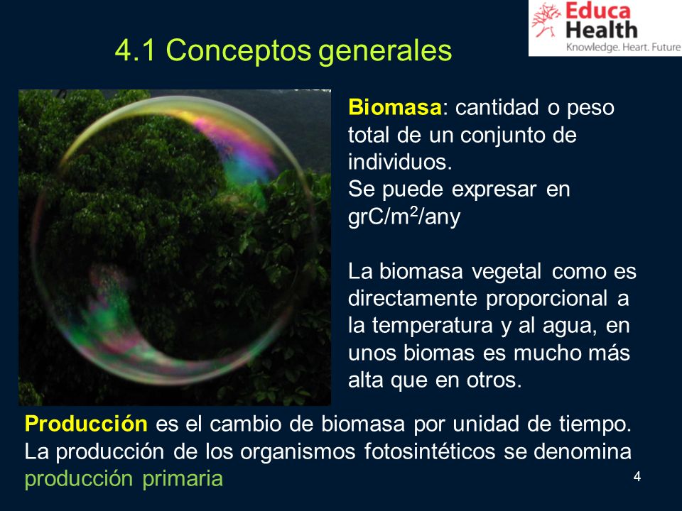 4.1 Conceptos generales Biomasa: cantidad o peso total de un conjunto de individuos. Se puede expresar en grC/m2/any.