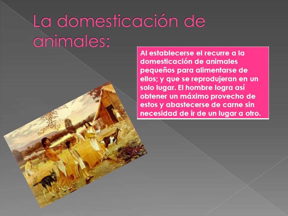 La domesticación de animales: