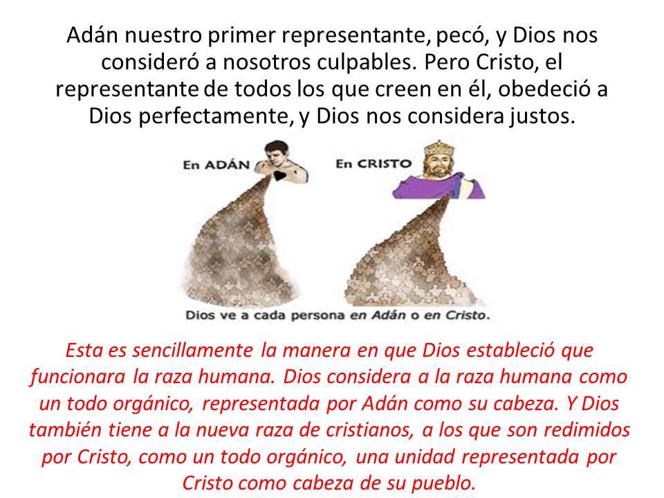 Adán nuestro primer representante, pecó, y Dios nos consideró a nosotros culpables. Pero Cristo, el representante de todos los que creen en él, obedeció a Dios perfectamente, y Dios nos considera justos.