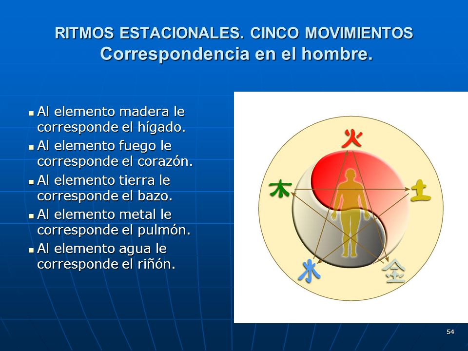 RITMOS ESTACIONALES. CINCO MOVIMIENTOS Correspondencia en el hombre.