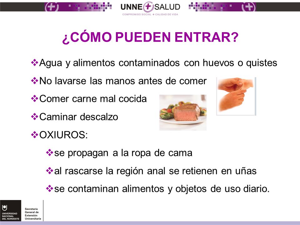 ¿CÓMO PUEDEN ENTRAR Agua y alimentos contaminados con huevos o quistes. No lavarse las manos antes de comer.