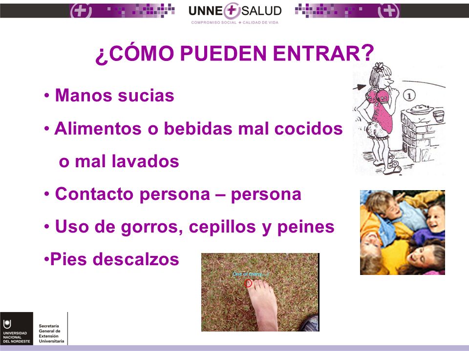 ¿CÓMO PUEDEN ENTRAR Manos sucias Alimentos o bebidas mal cocidos