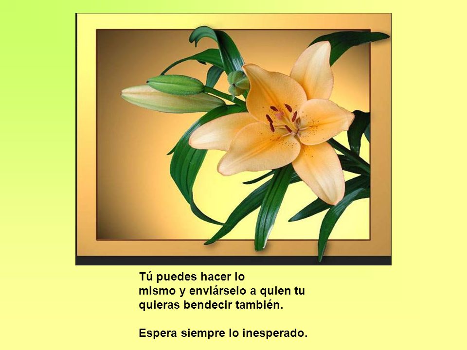 Tú puedes hacer lo mismo y enviárselo a quien tu quieras bendecir también.