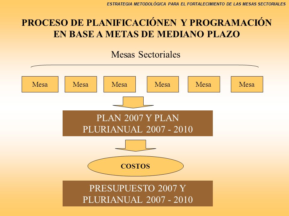 PLAN 2007 Y PLAN PLURIANUAL