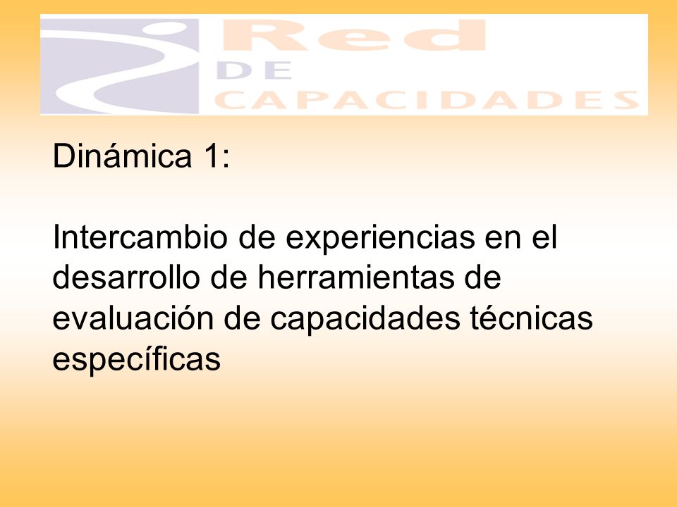 Dinámica 1: Intercambio de experiencias en el desarrollo de herramientas de evaluación de capacidades técnicas específicas