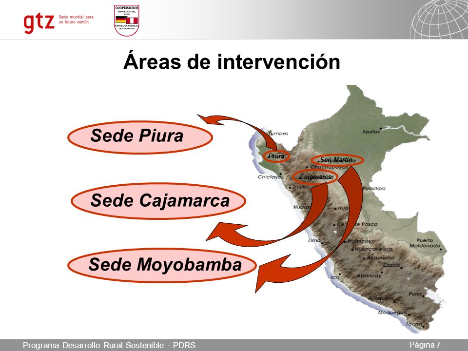 Áreas de intervención Sede Piura Sede Cajamarca Sede Moyobamba