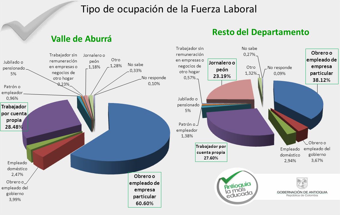 Tipo de ocupación de la Fuerza Laboral