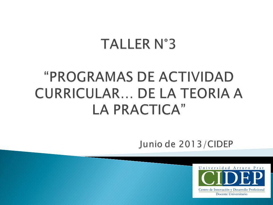 TALLER N°3 PROGRAMAS DE ACTIVIDAD CURRICULAR… DE LA TEORIA A LA PRACTICA Junio de 2013/CIDEP