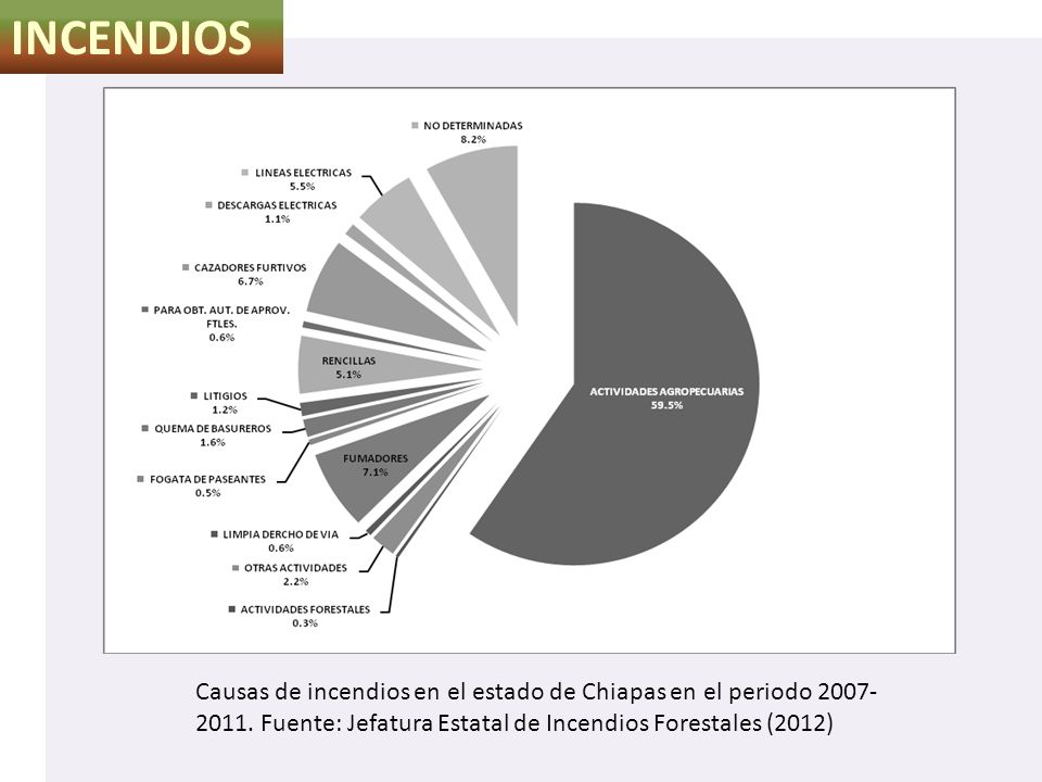 INCENDIOS Causas de incendios en el estado de Chiapas en el periodo