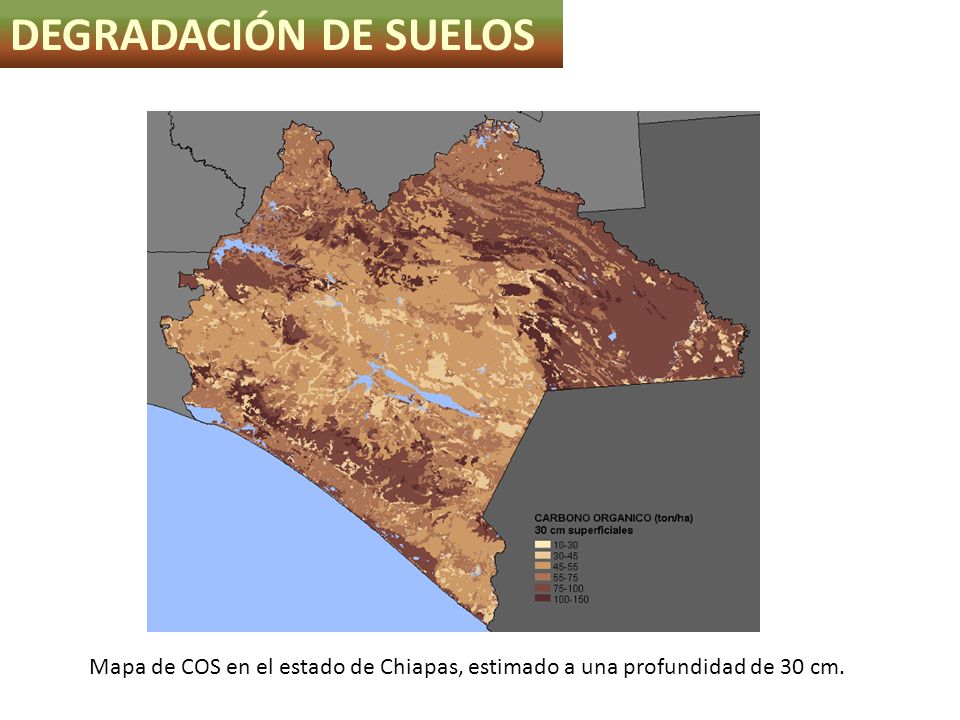 DEGRADACIÓN DE SUELOS Mapa de COS en el estado de Chiapas, estimado a una profundidad de 30 cm.