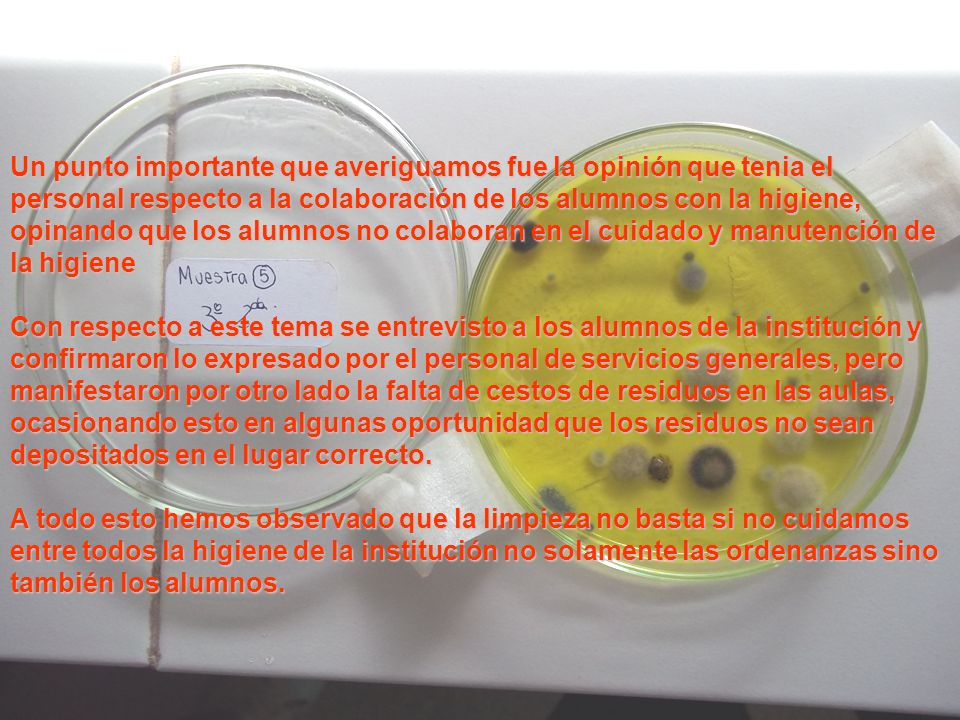 Un punto importante que averiguamos fue la opinión que tenia el personal respecto a la colaboración de los alumnos con la higiene, opinando que los alumnos no colaboran en el cuidado y manutención de la higiene