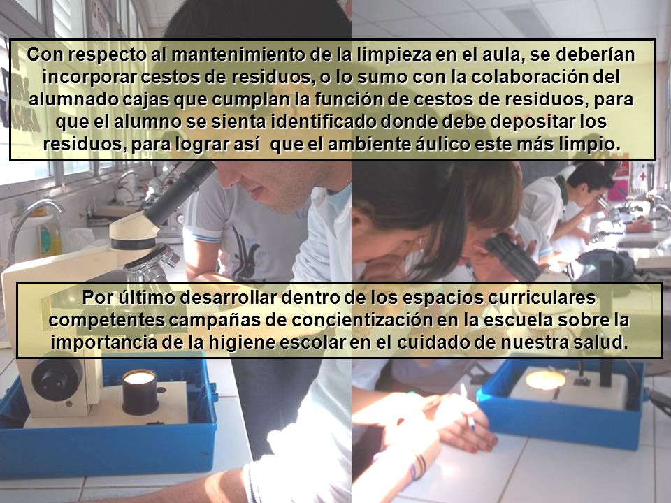 Con respecto al mantenimiento de la limpieza en el aula, se deberían incorporar cestos de residuos, o lo sumo con la colaboración del alumnado cajas que cumplan la función de cestos de residuos, para que el alumno se sienta identificado donde debe depositar los residuos, para lograr así que el ambiente áulico este más limpio.