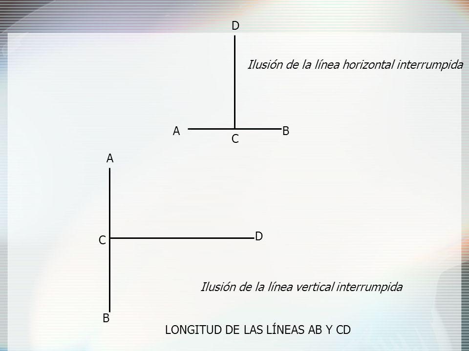D Ilusión de la línea horizontal interrumpida. A. B. C. A. D. C. Ilusión de la línea vertical interrumpida.