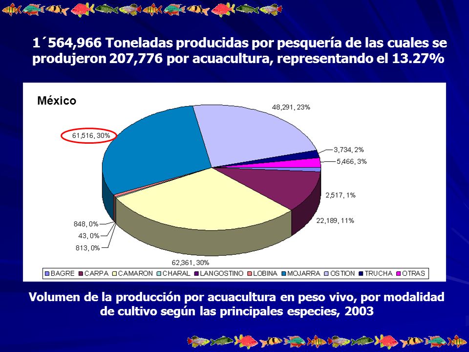 1´564,966 Toneladas producidas por pesquería de las cuales se produjeron 207,776 por acuacultura, representando el 13.27%