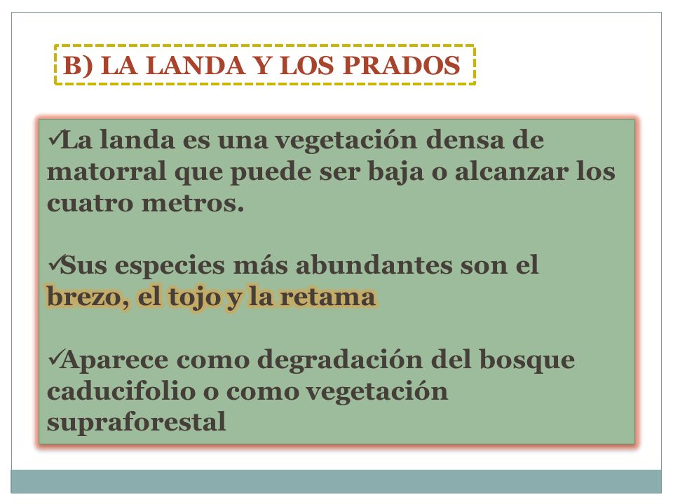 B) LA LANDA Y LOS PRADOS La landa es una vegetación densa de matorral que puede ser baja o alcanzar los cuatro metros.