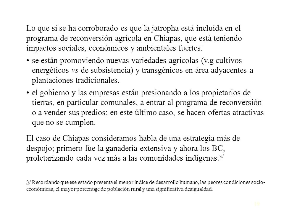 Lo que sí se ha corroborado es que la jatropha está incluida en el programa de reconversión agrícola en Chiapas, que está teniendo impactos sociales, económicos y ambientales fuertes: