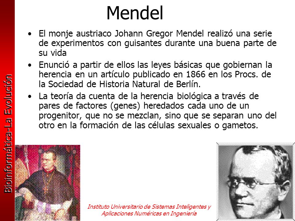 Mendel El monje austriaco Johann Gregor Mendel realizó una serie de experimentos con guisantes durante una buena parte de su vida.