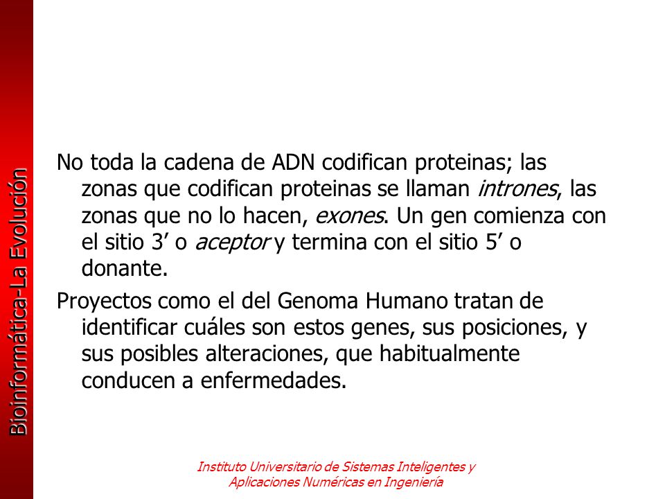 No toda la cadena de ADN codifican proteinas; las zonas que codifican proteinas se llaman intrones, las zonas que no lo hacen, exones. Un gen comienza con el sitio 3’ o aceptor y termina con el sitio 5’ o donante.