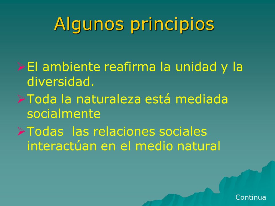 Algunos principios El ambiente reafirma la unidad y la diversidad.