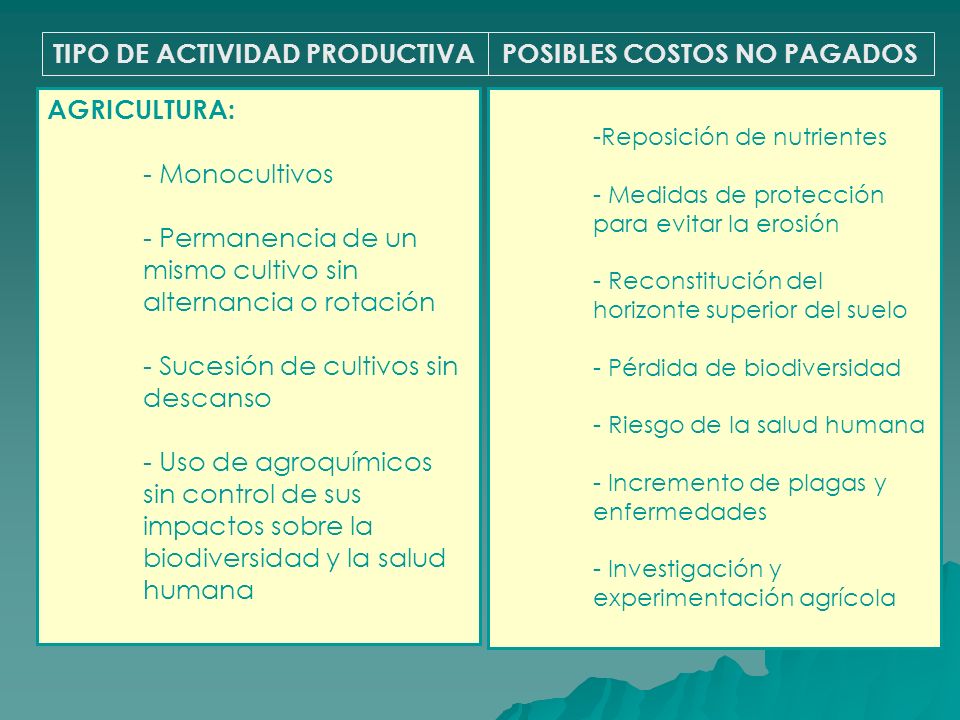 TIPO DE ACTIVIDAD PRODUCTIVA POSIBLES COSTOS NO PAGADOS