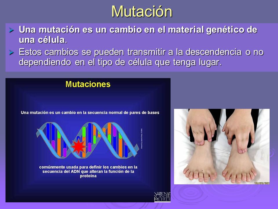 Mutación Una mutación es un cambio en el material genético de una célula.