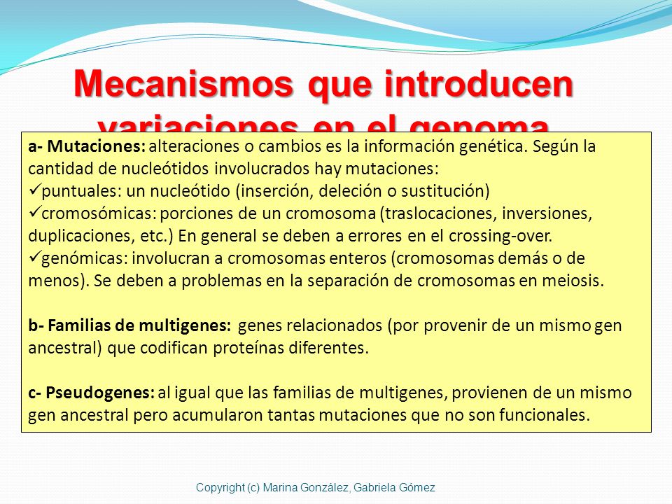 Mecanismos que introducen variaciones en el genoma