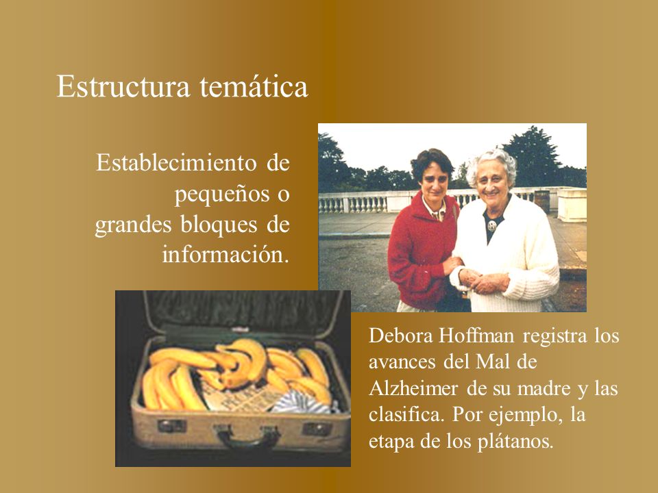 Estructura temática Establecimiento de pequeños o grandes bloques de información.