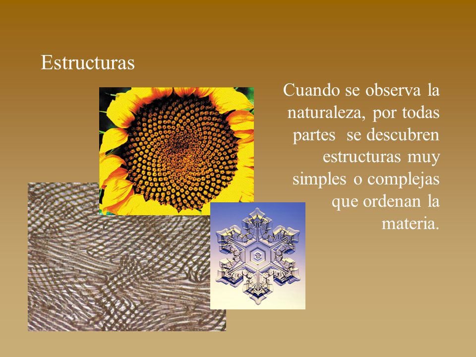 Estructuras Cuando se observa la naturaleza, por todas partes se descubren estructuras muy simples o complejas que ordenan la materia.