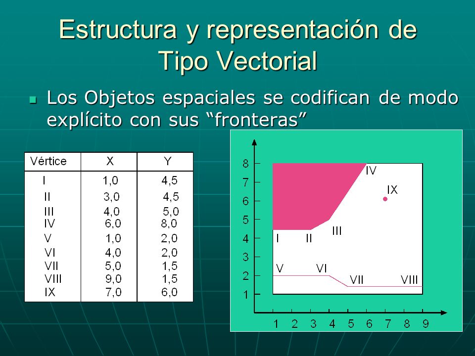 Estructura y representación de Tipo Vectorial